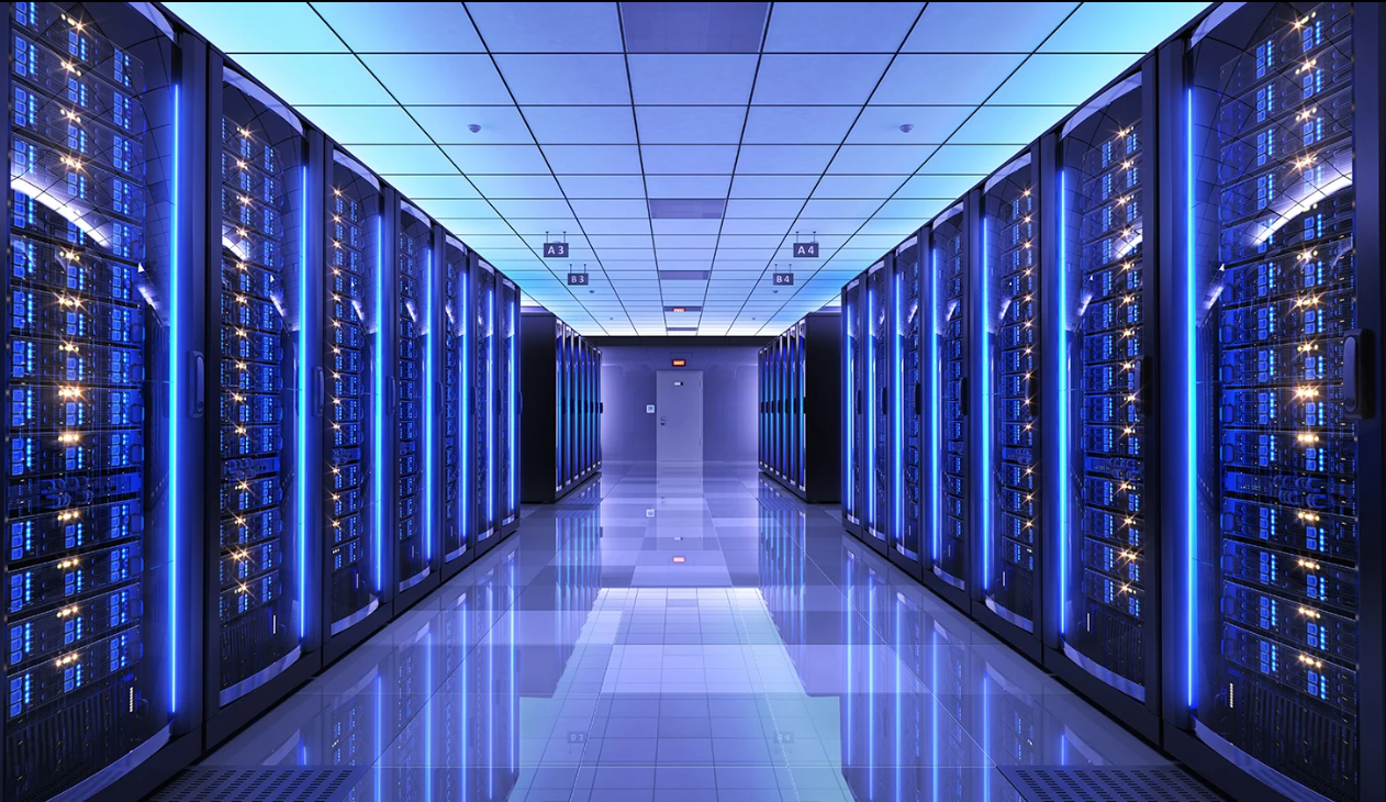 IP kamera ağları